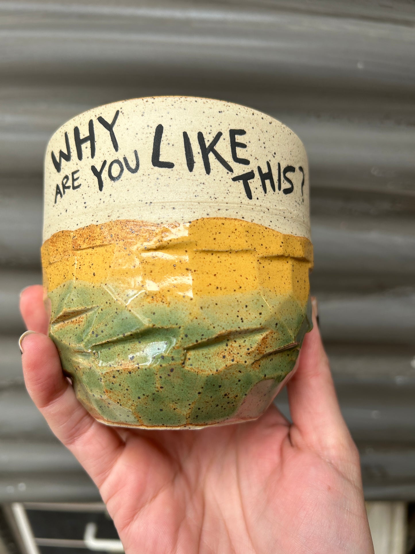 Why Are You Like This Planter