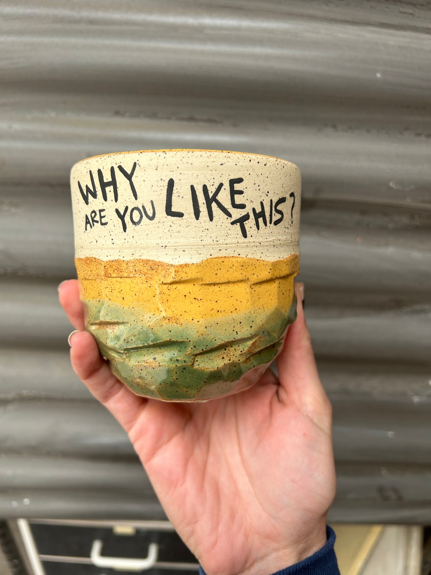 Why Are You Like This Planter