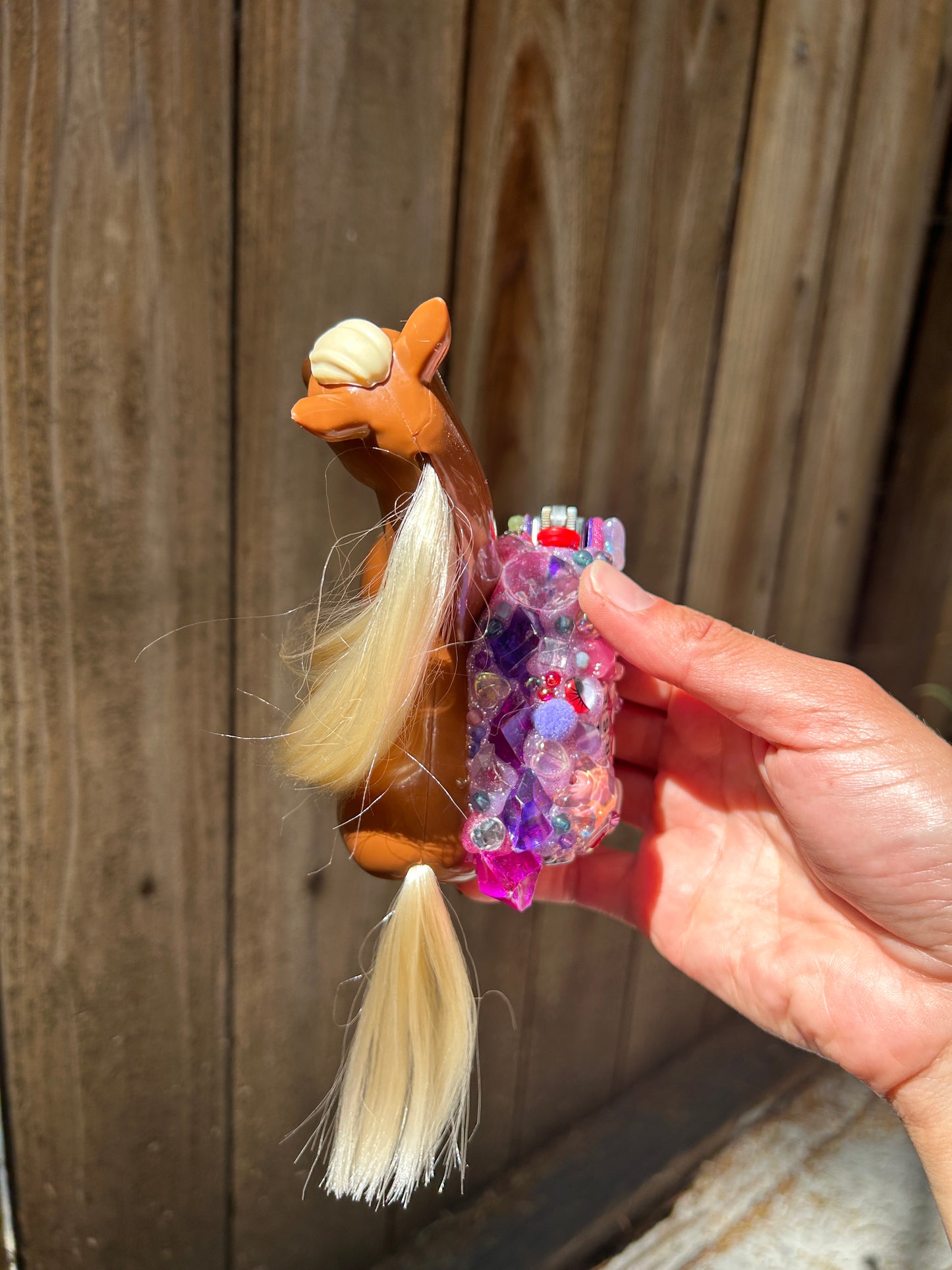 Horse Girl Lighter Case