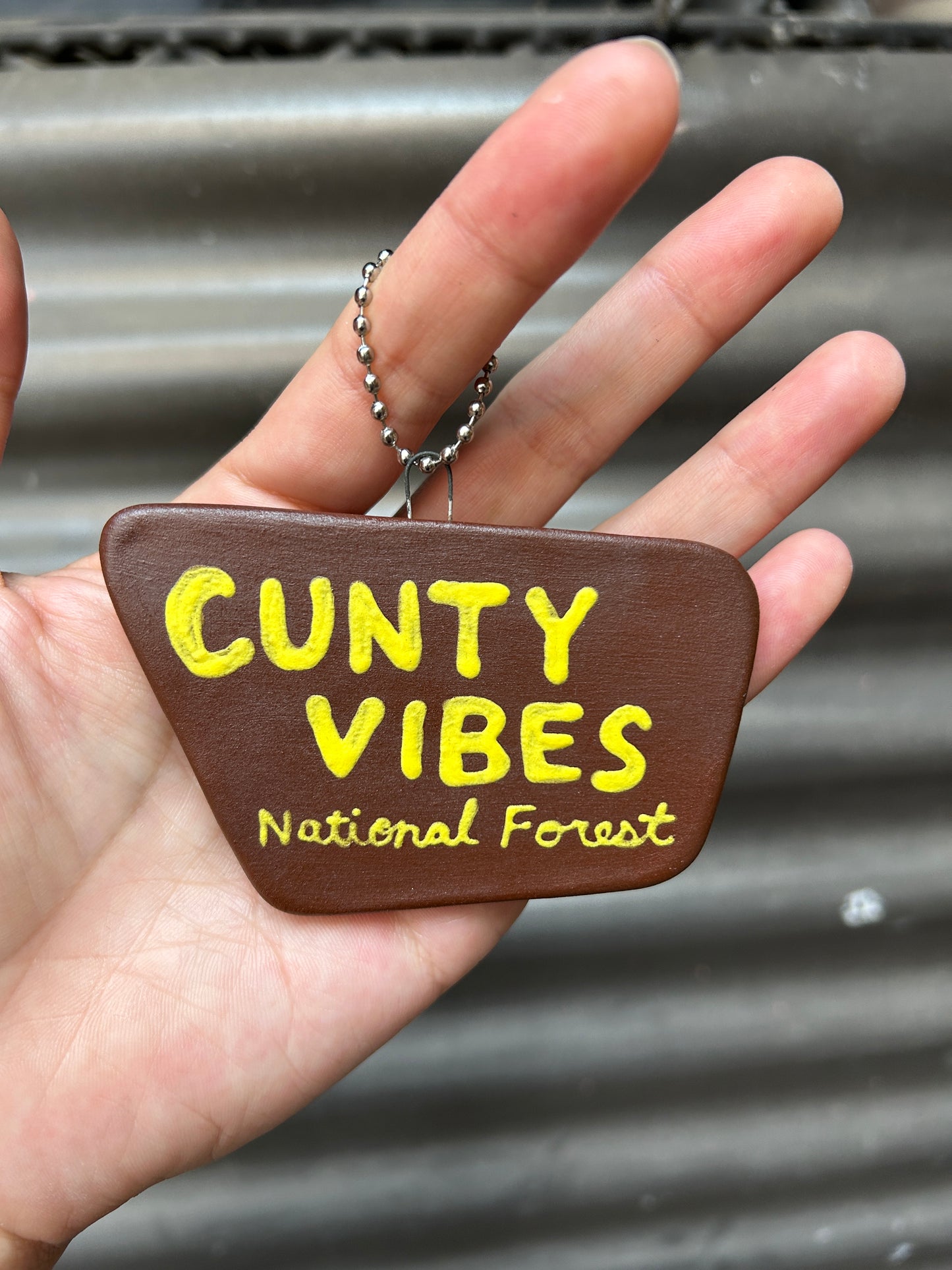 C*nty Vibes National Forest Ornament