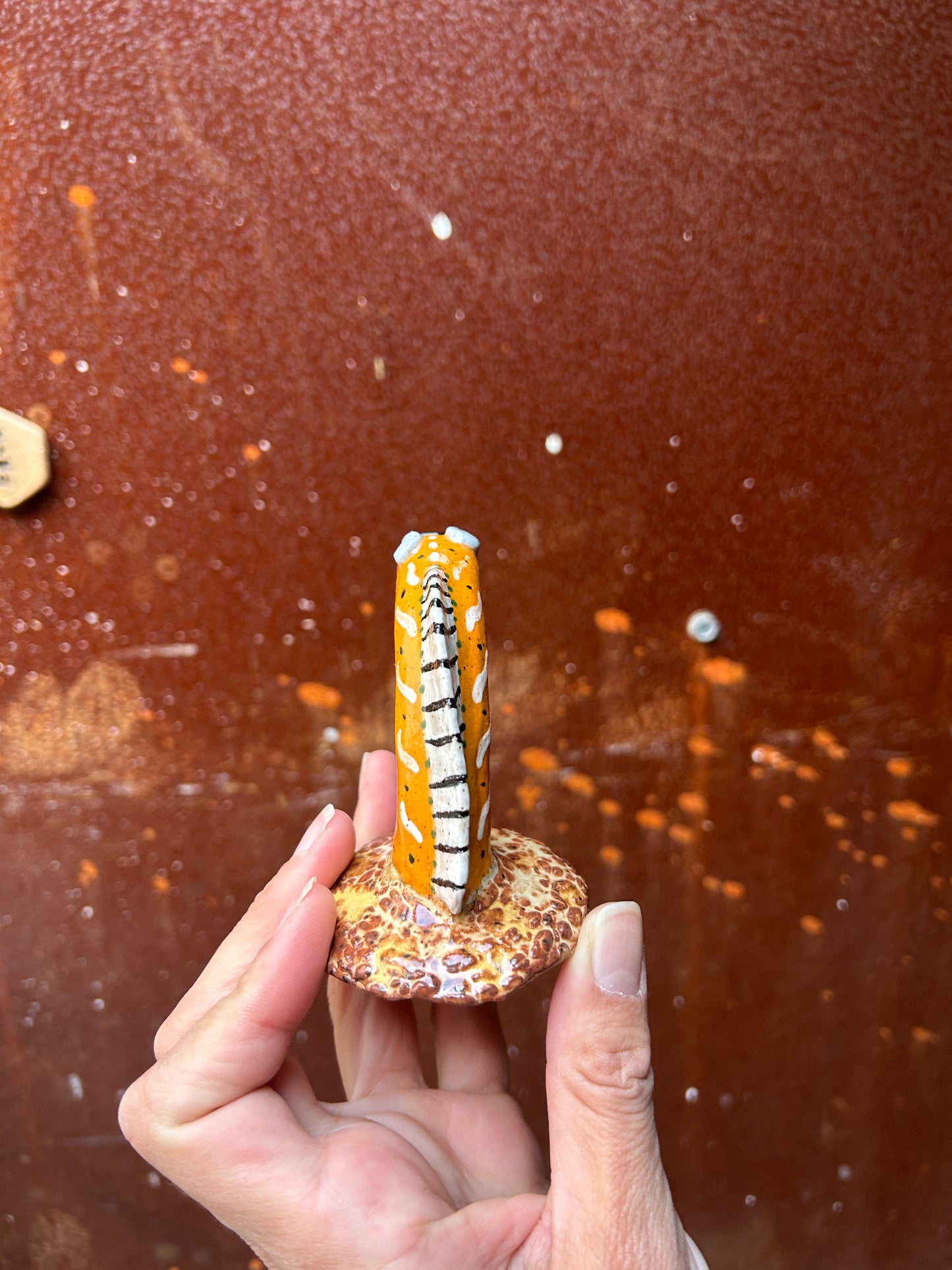 Sea Snake Orange