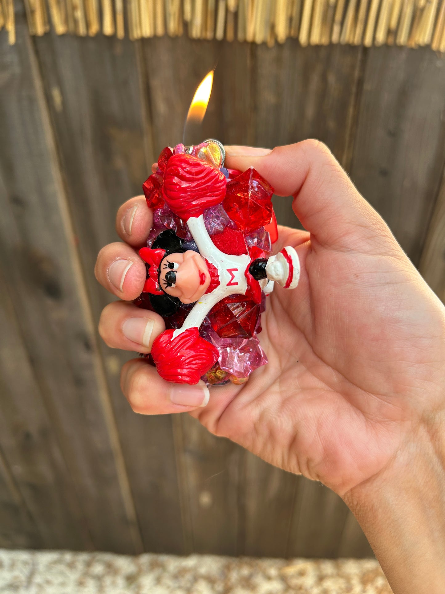 Late Stage Capitalism Cheer Minnie Lighter Case