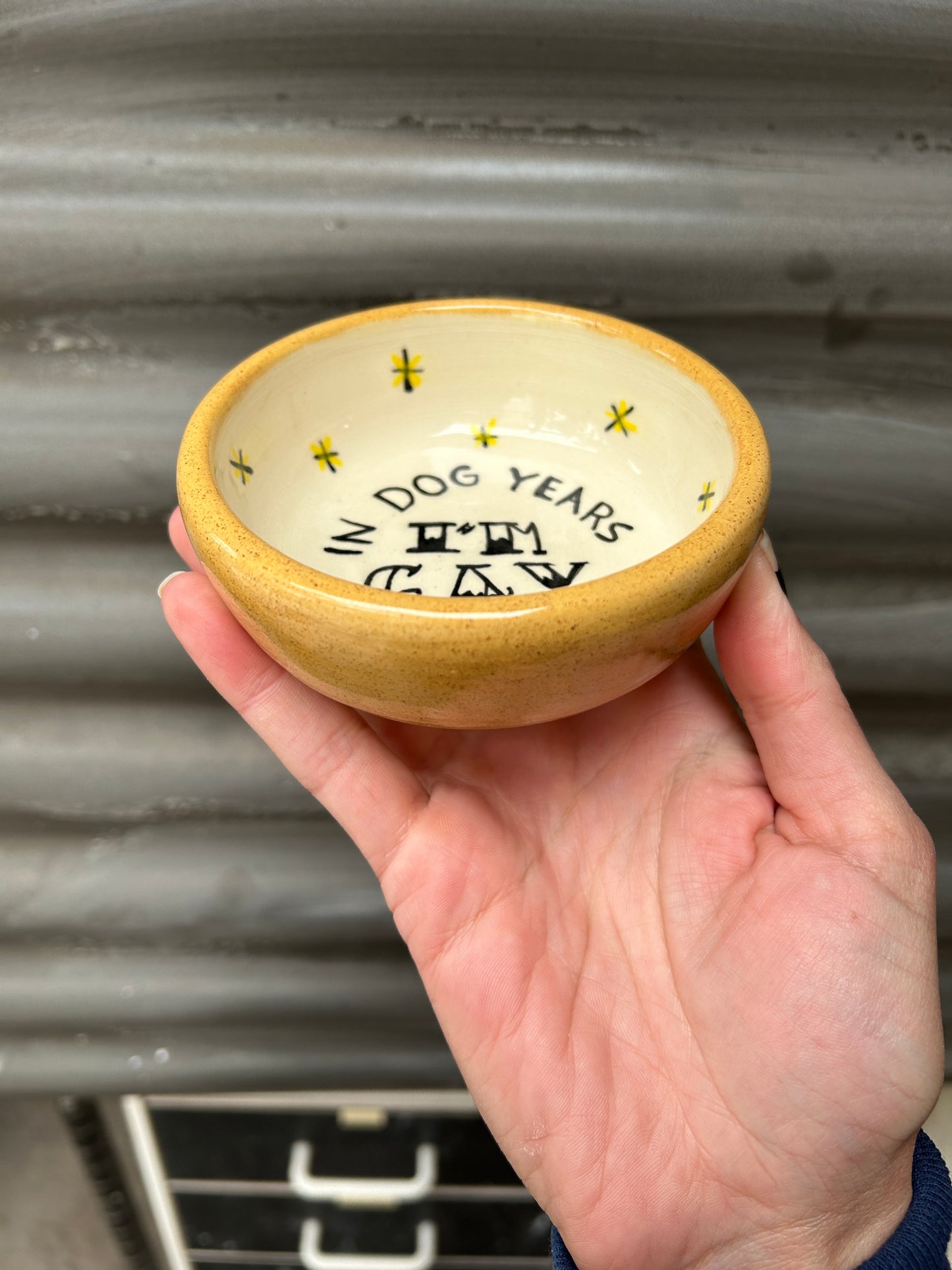 In Dog Year I’m Gay Ashtray
