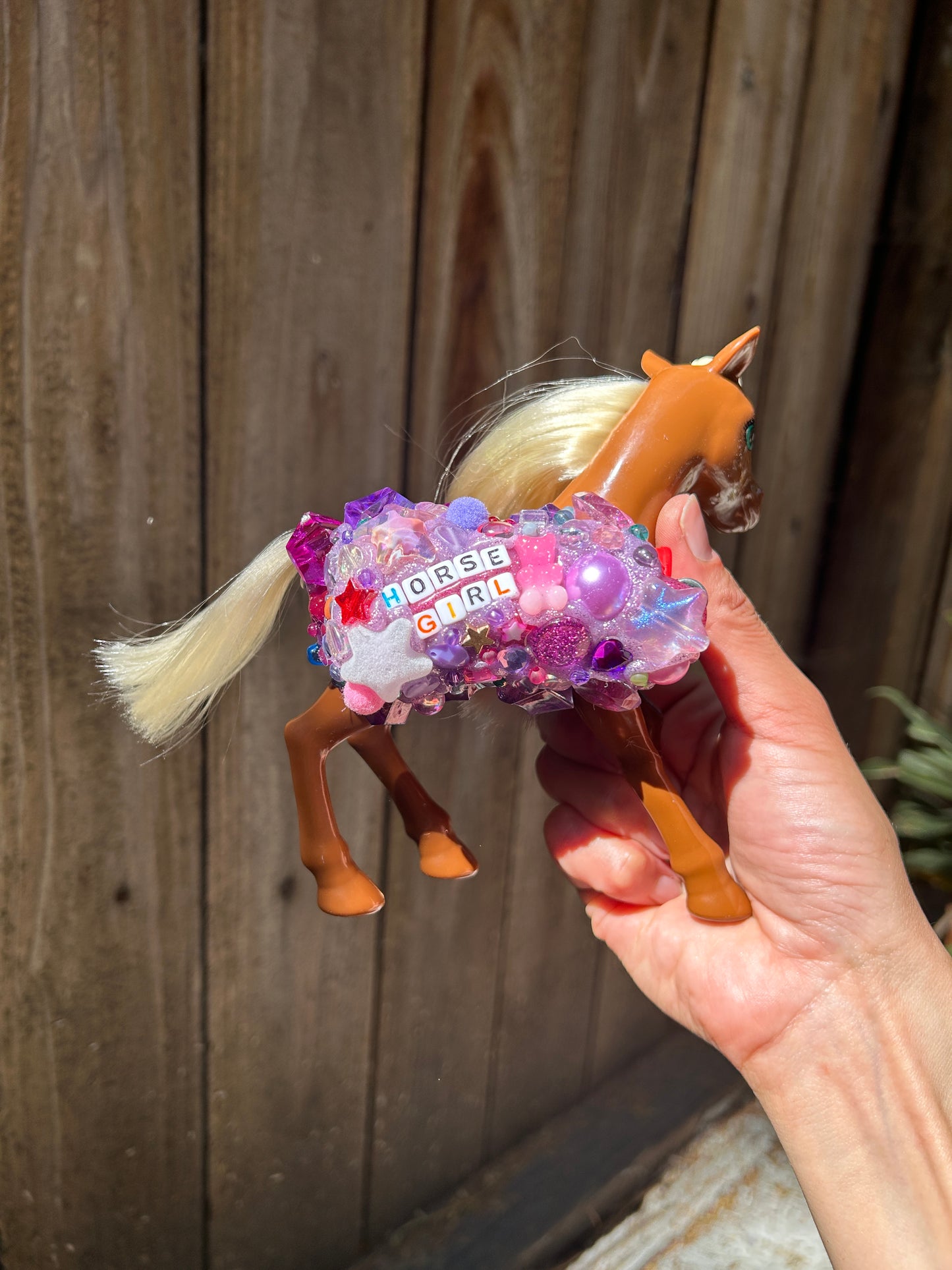 Horse Girl Lighter Case