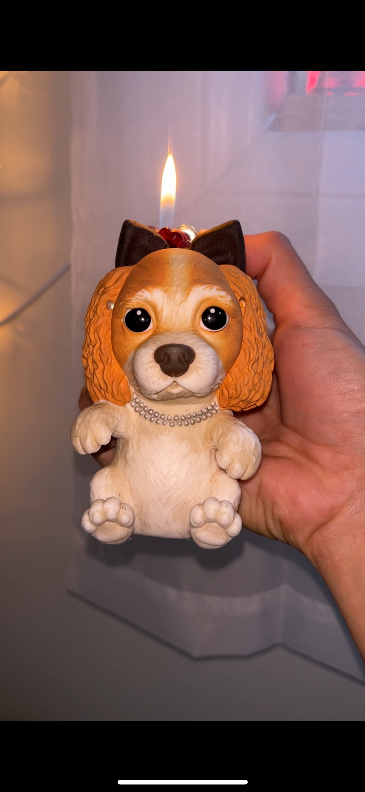 Fancy Puppy Lighter Case