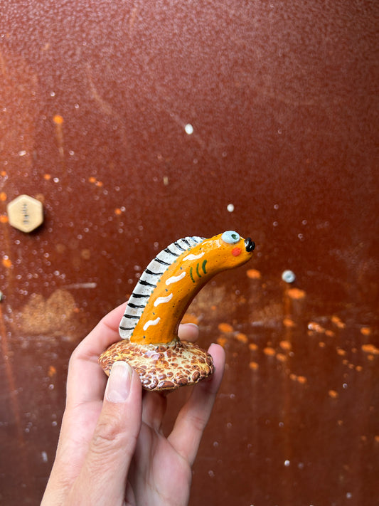 Sea Snake Orange