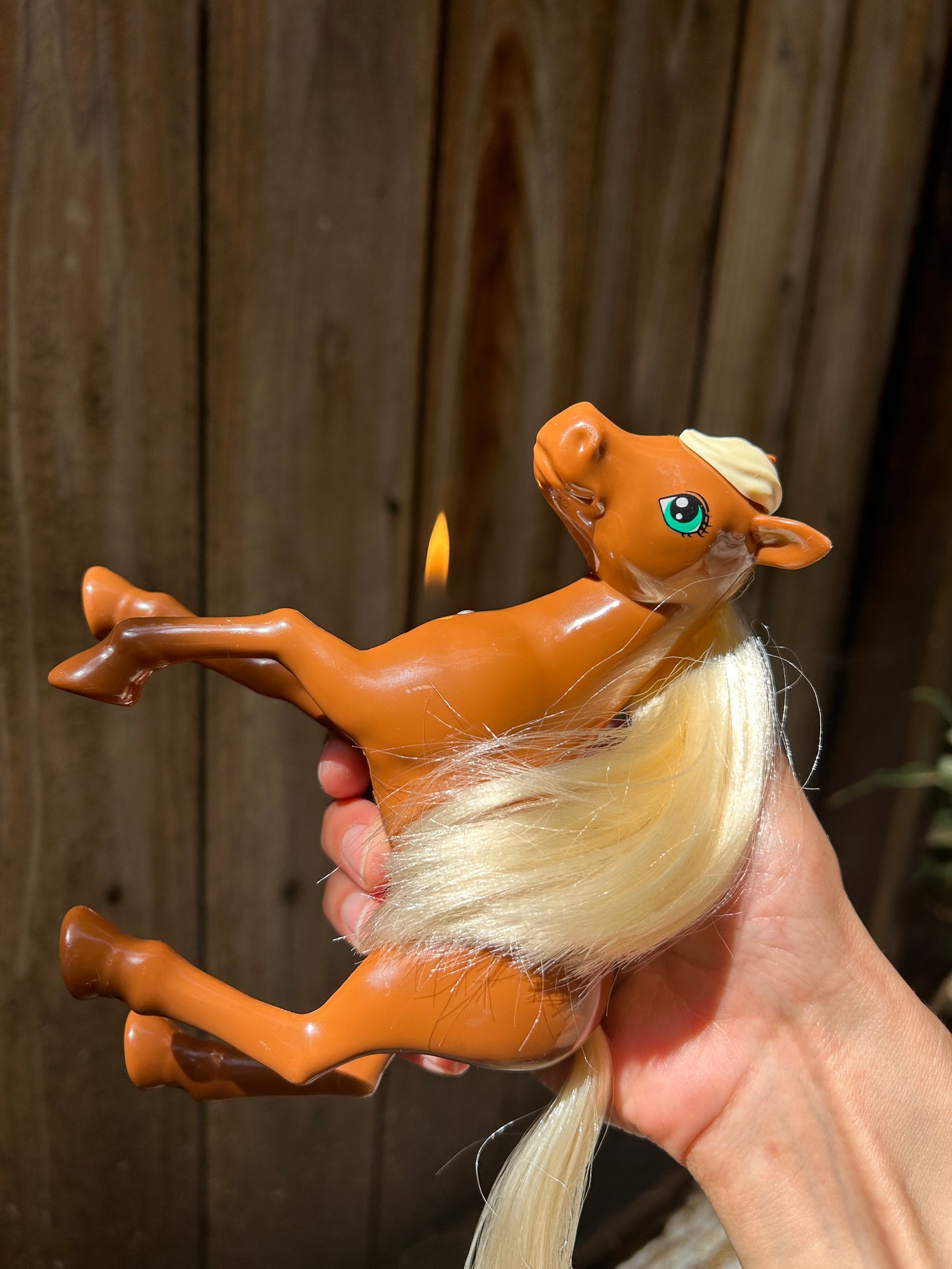 Horse Girl Lighter Case
