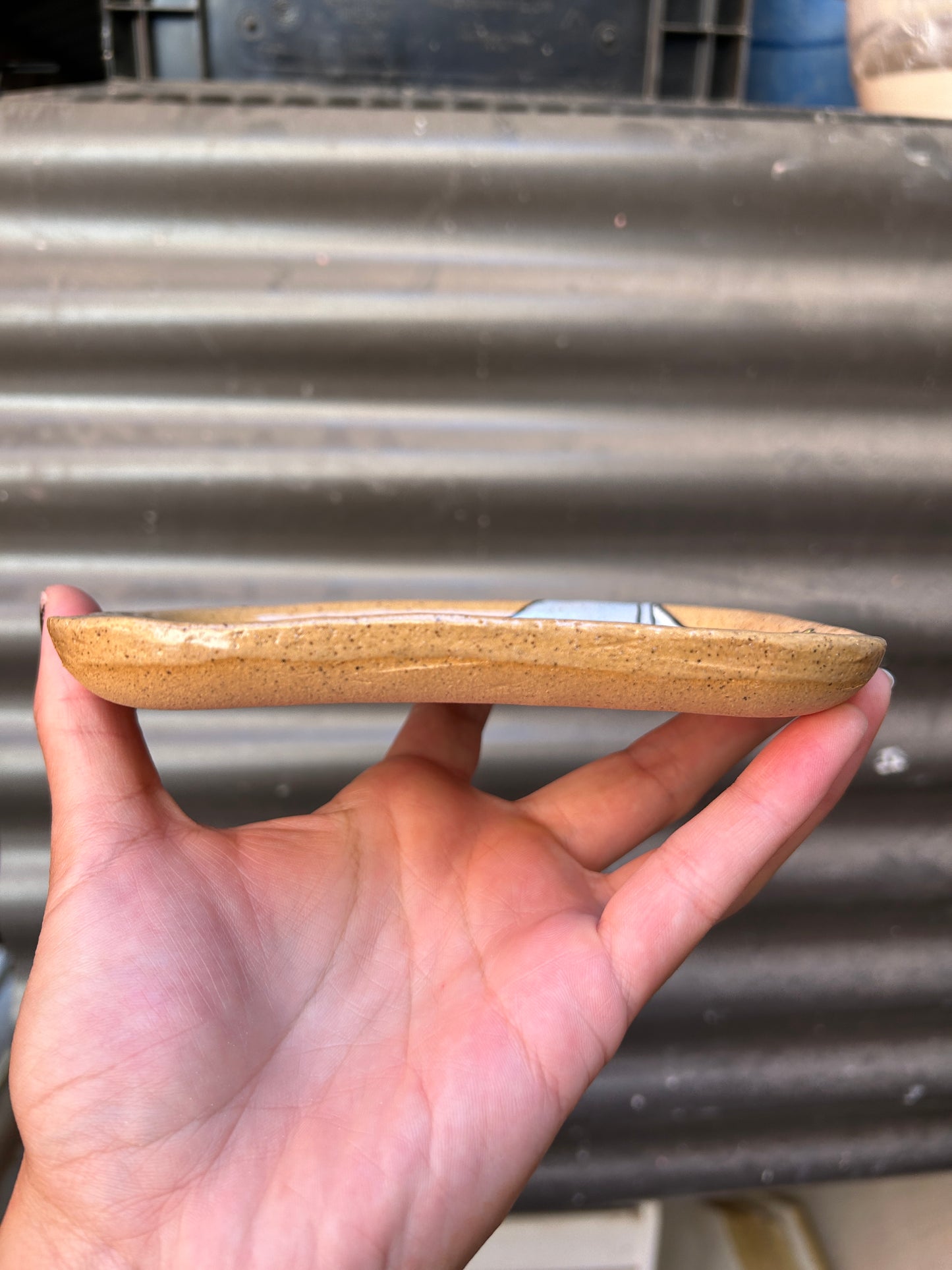 I Am 30 or 40 Years Old Rolling Tray