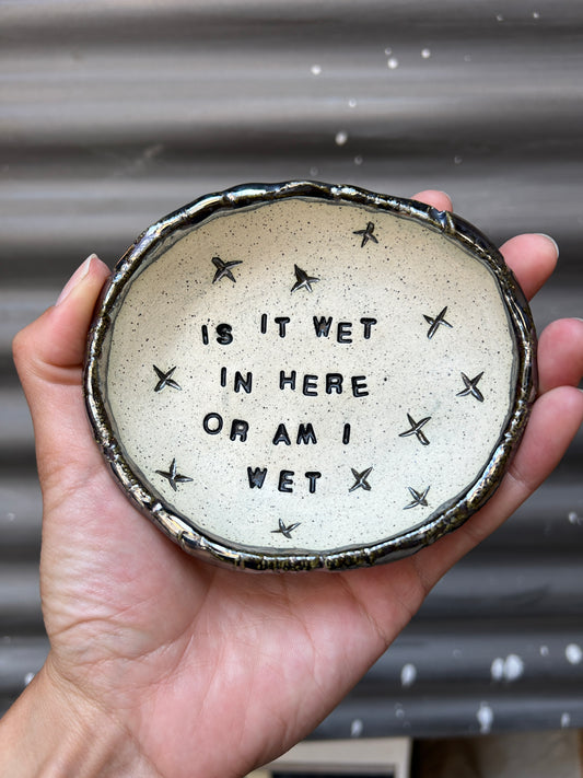 Is it Wet In Here Dish