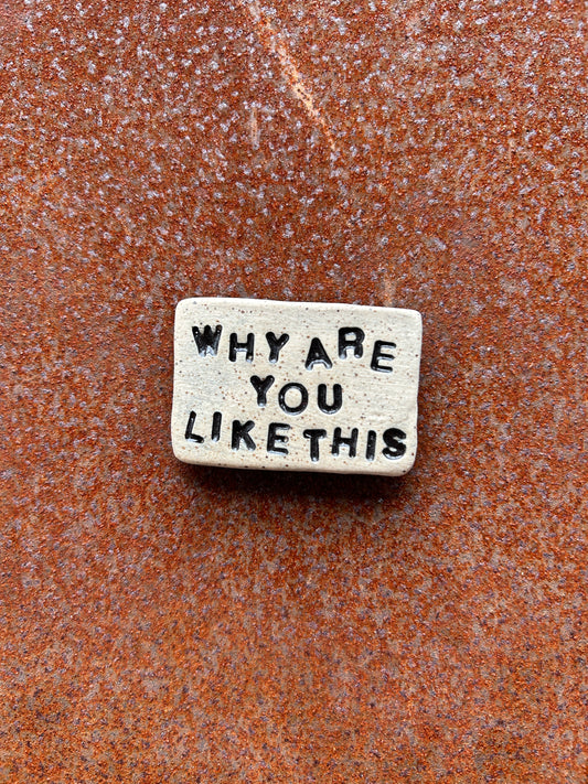 Why Are You Like This Magnet