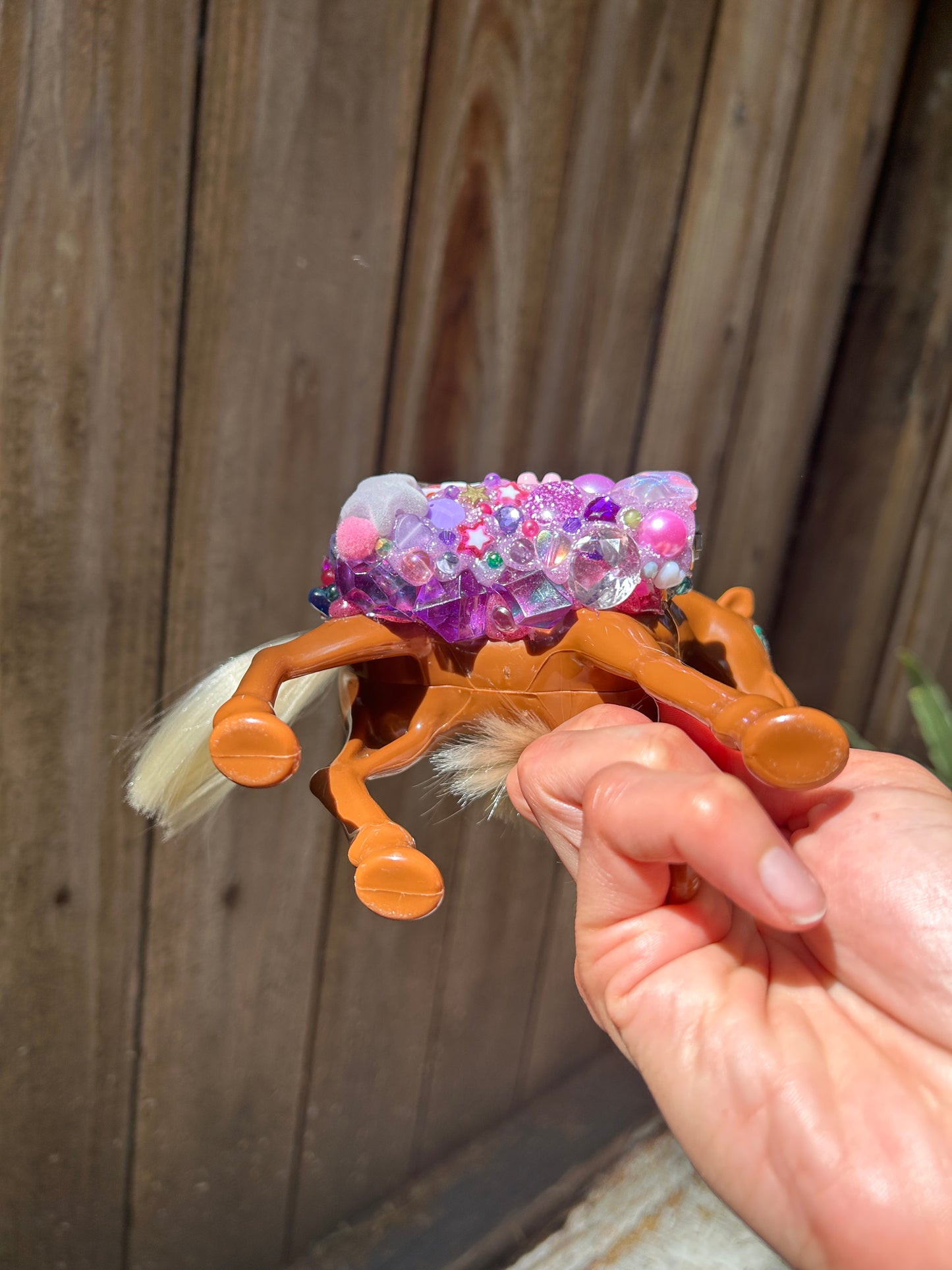 Horse Girl Lighter Case